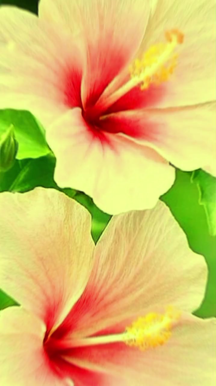 @@sunita
