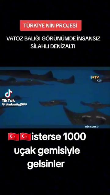 @🇹🇷TEṢKİLAT🇹🇷