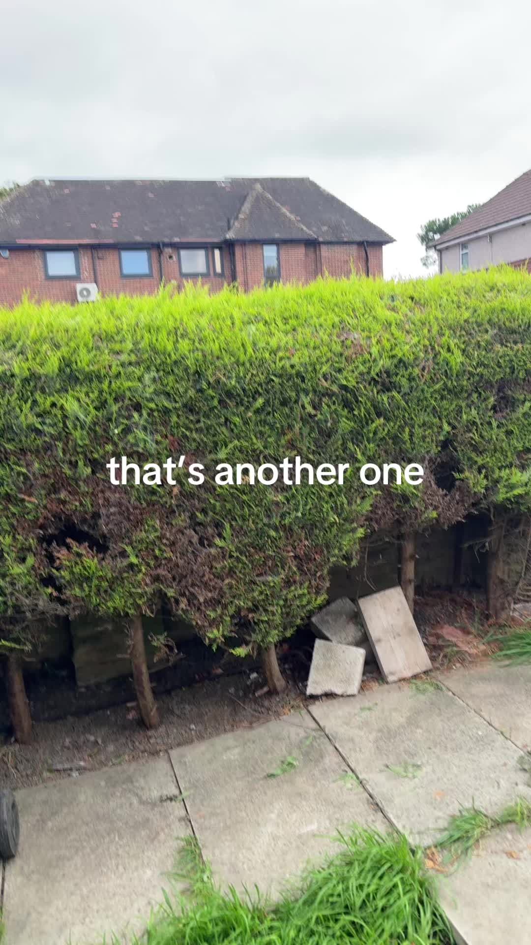 @global landscapes
