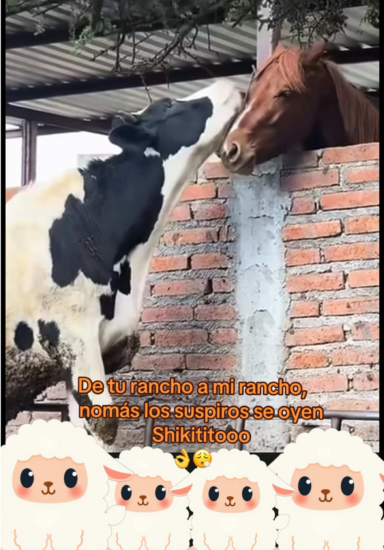 @PrimeroLoQueDeja