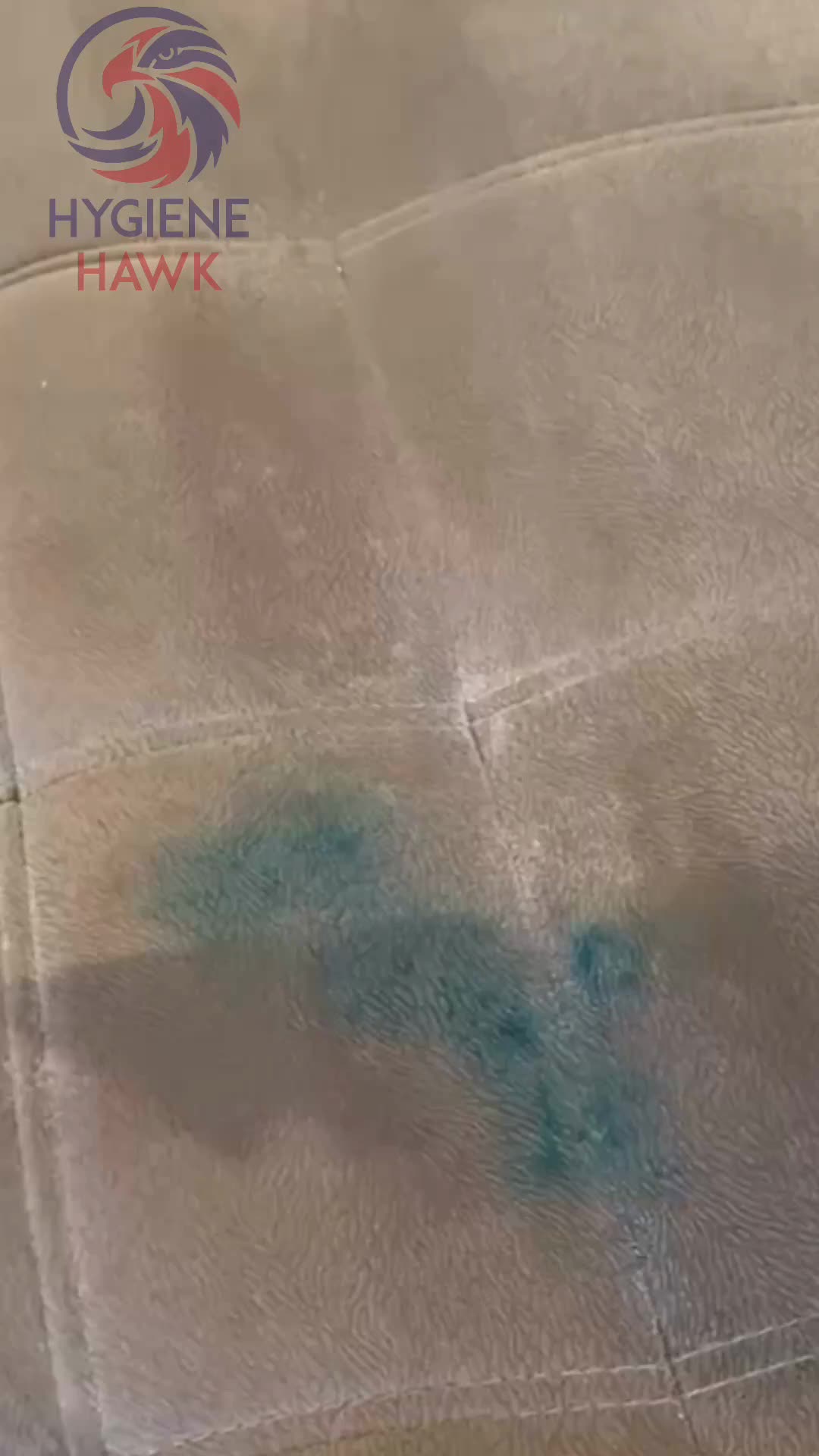 @hygienehawk