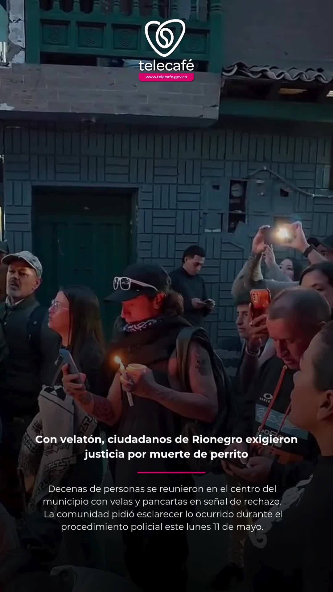 @Canal Telecaf&eacute;