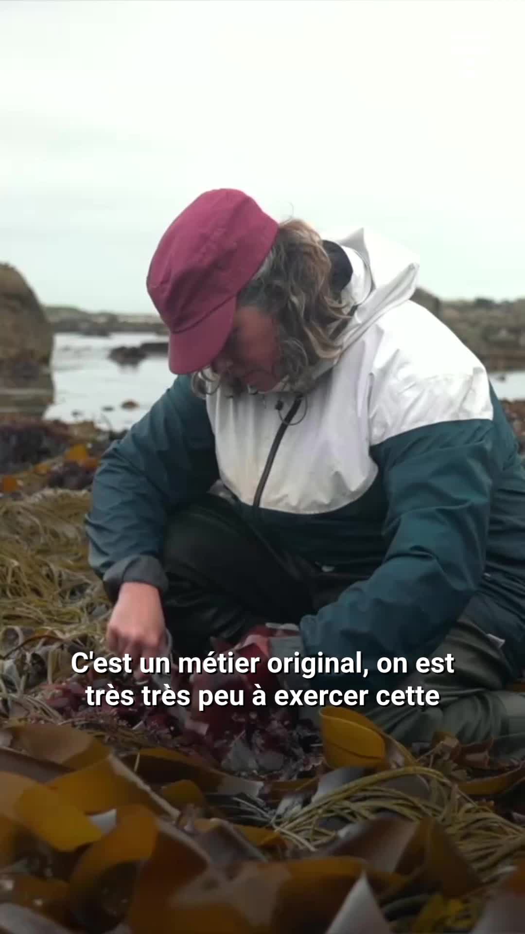 @Le Télégramme