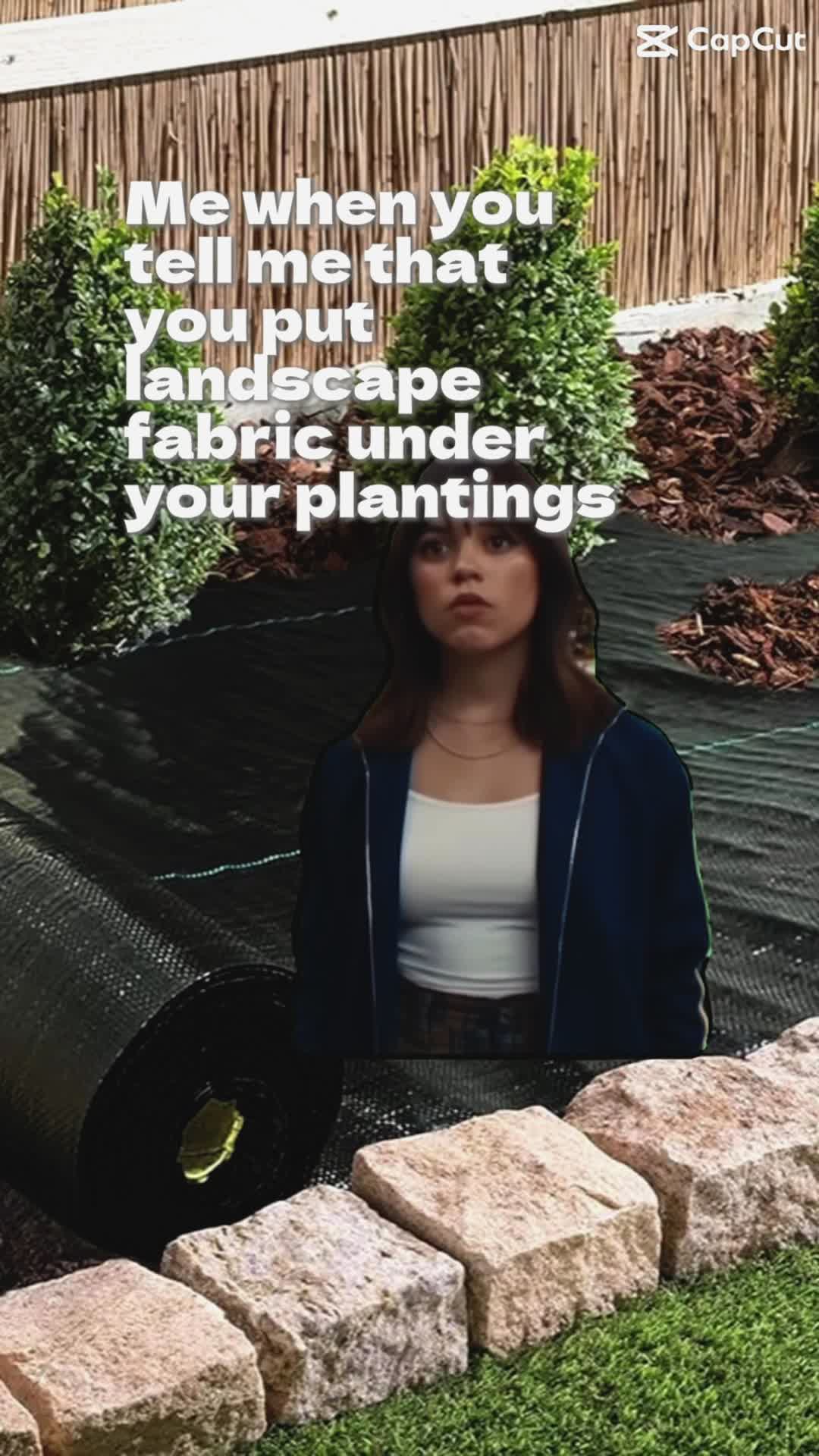 @Landscape_by_Lauren 🌱