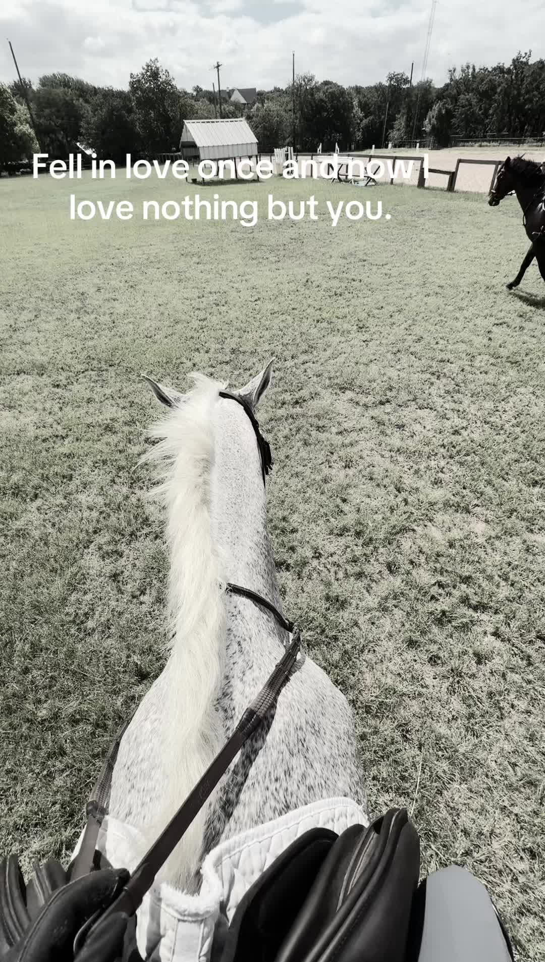 @𝐌𝐚𝐝𝐢𝐬𝐨𝐧 𝐒