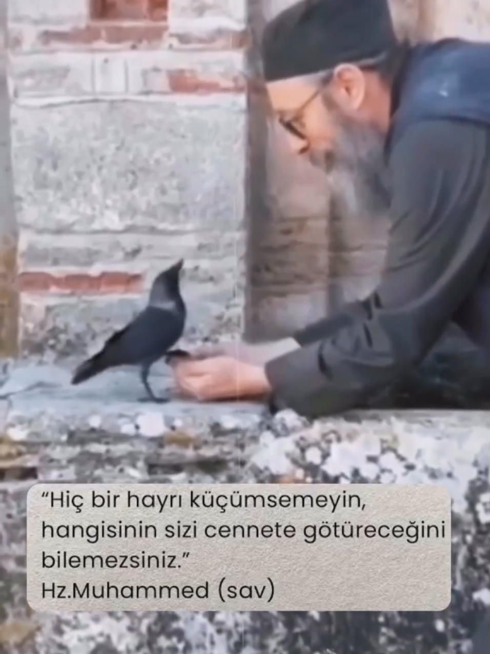 @ben feroo🖐️
