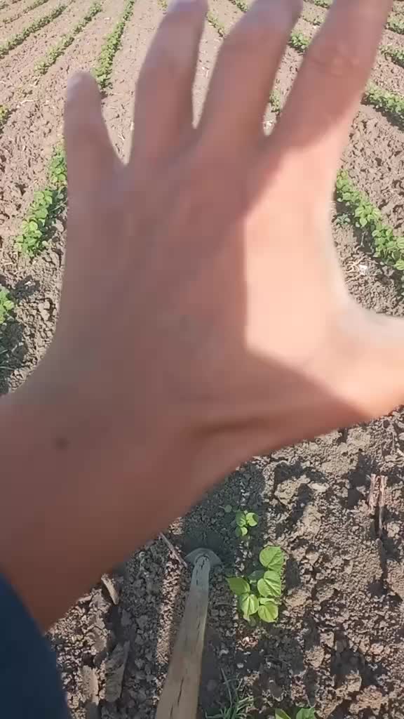 @tərtərldi_059