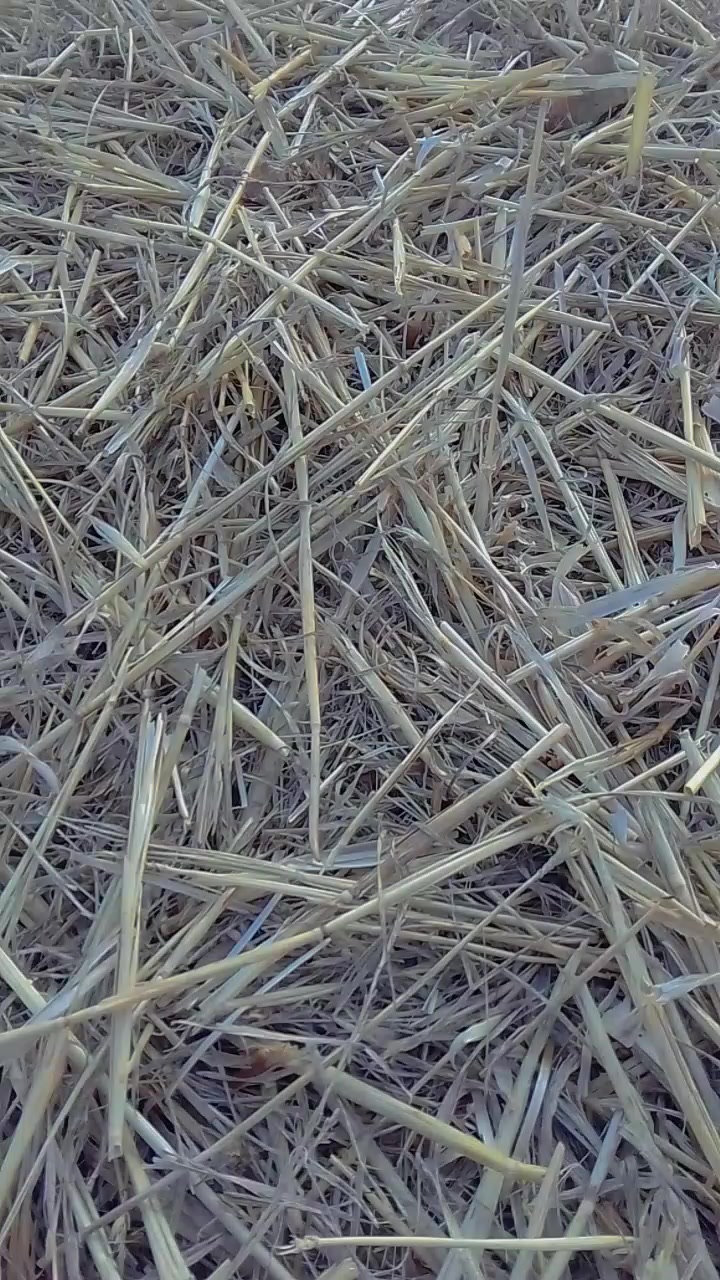 @&laquo;♕♡♕&raquo;