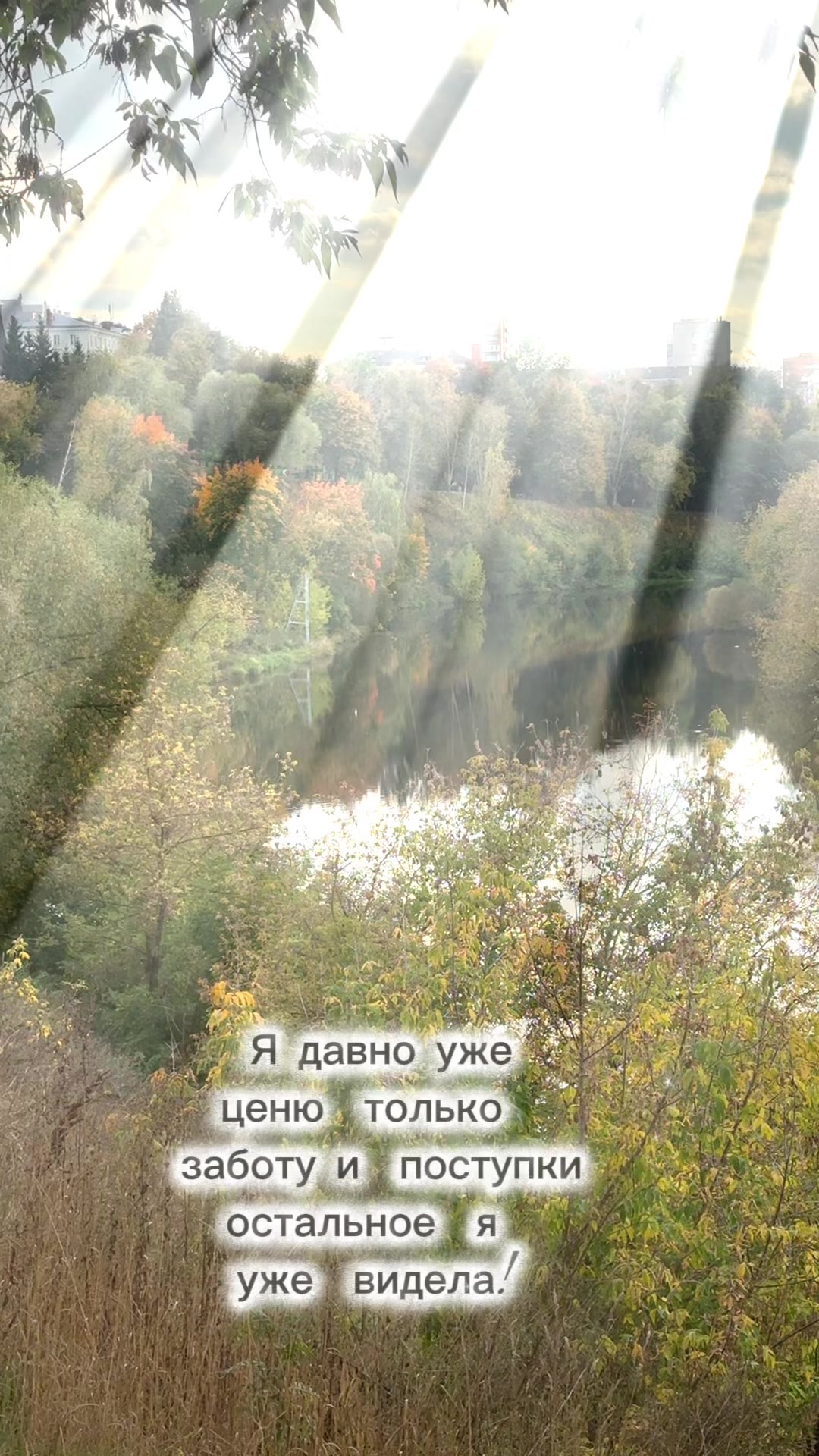@Евгения Соколова