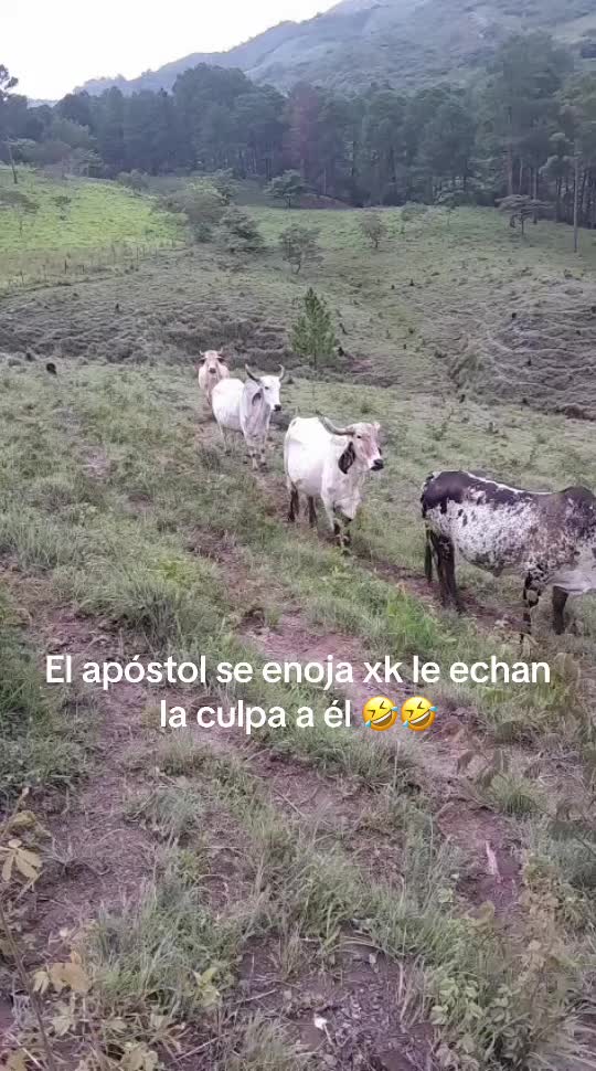 @Samir Buezo