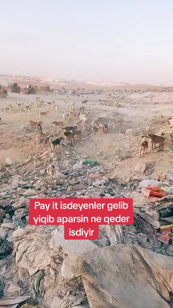 @volkadov_Azərbayjan
