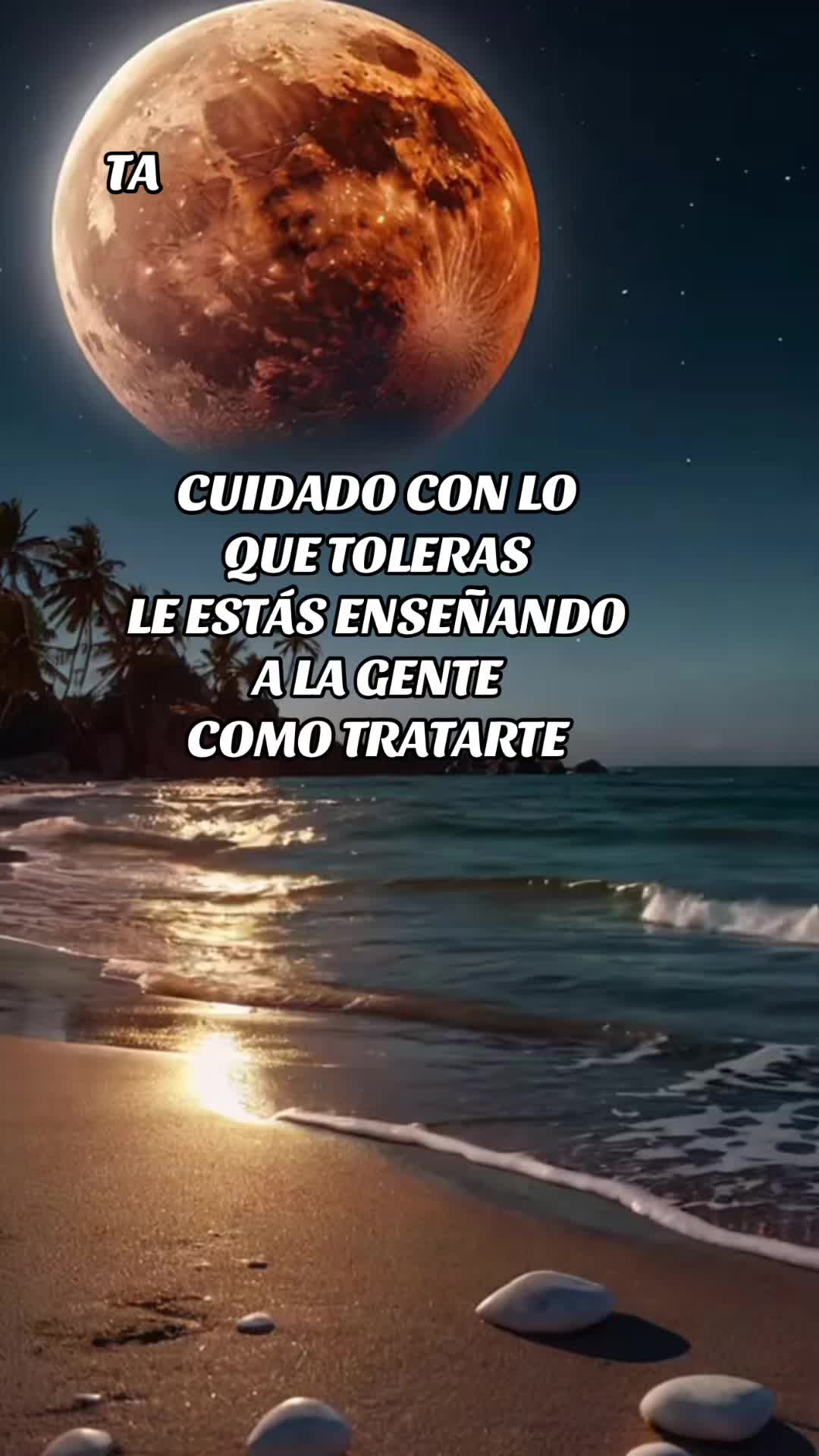 @Taimy