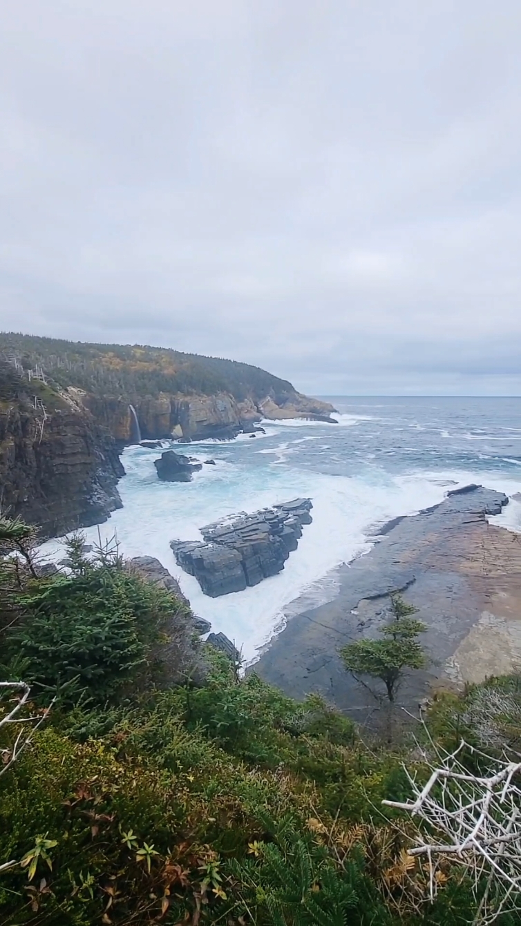 @NLGIRL🇨🇦
