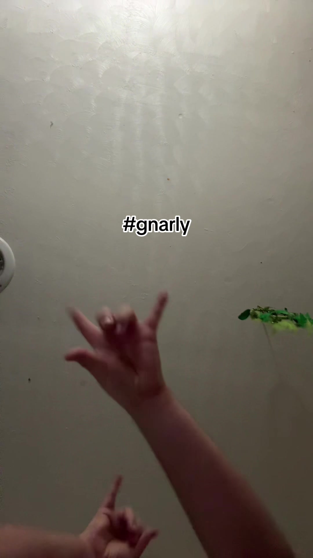 @geovonie