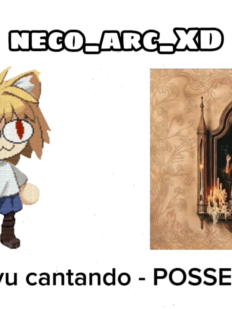 @neco_arc_XD