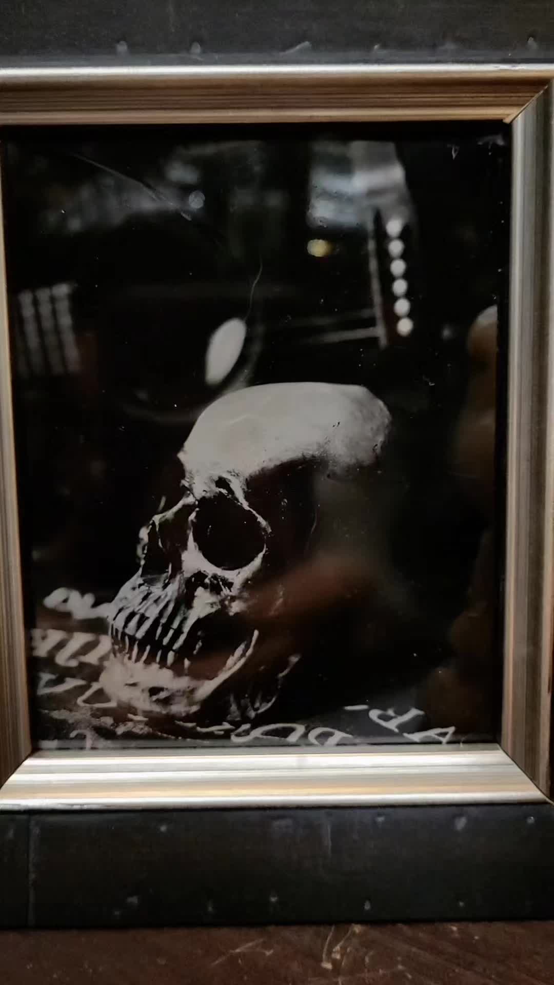 @blackorchidcuriosities