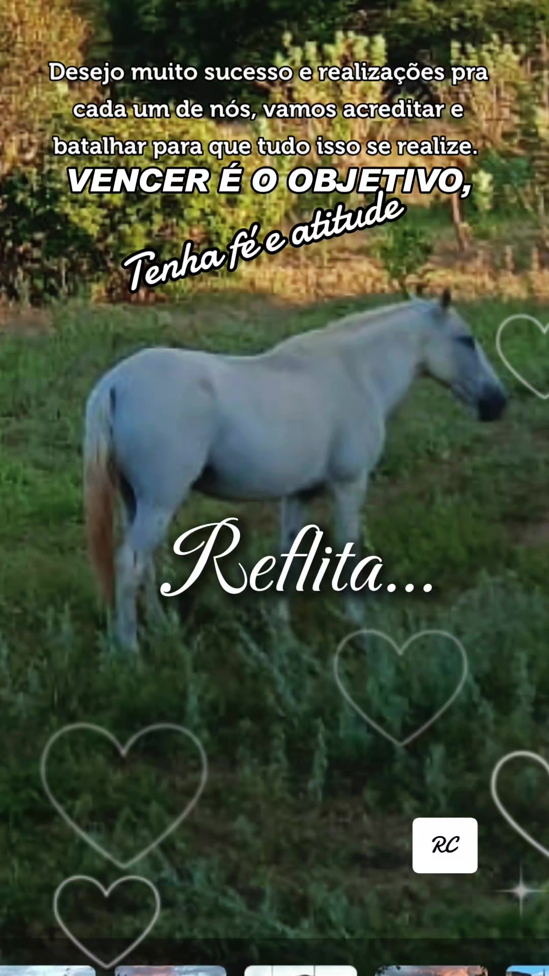 @RoberttoCarllos12