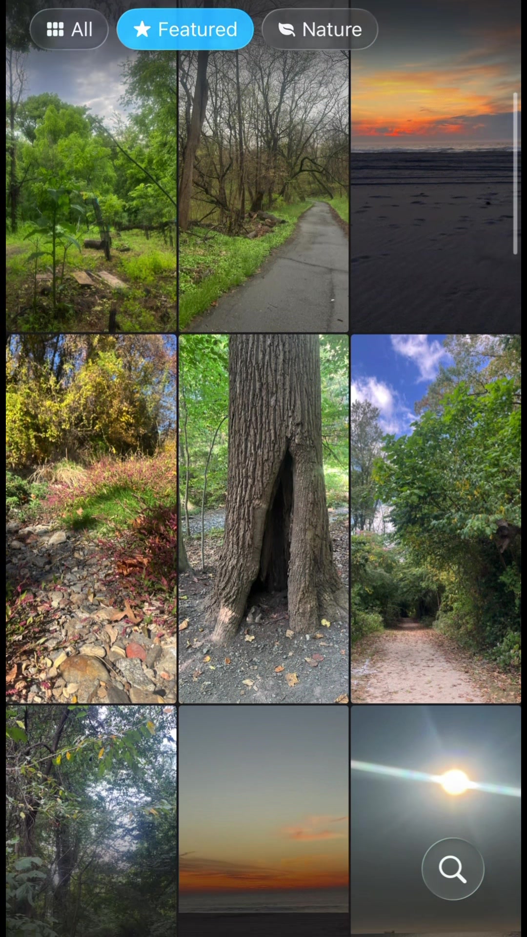 @kim 🌳