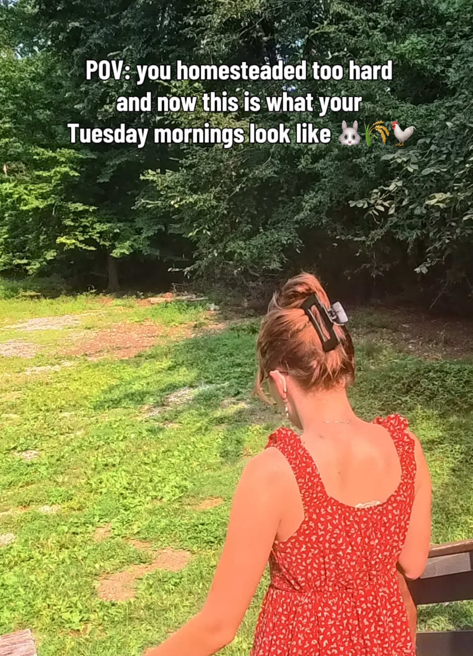 @Haley The Homesteader