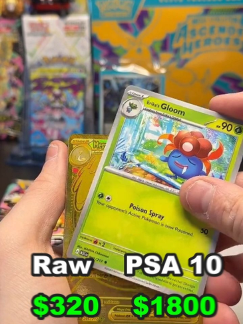 @AllPokeTCG