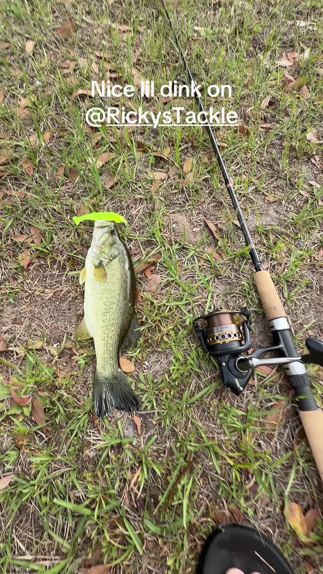 @Inshoreslabs