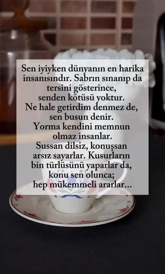 @58_Sevil