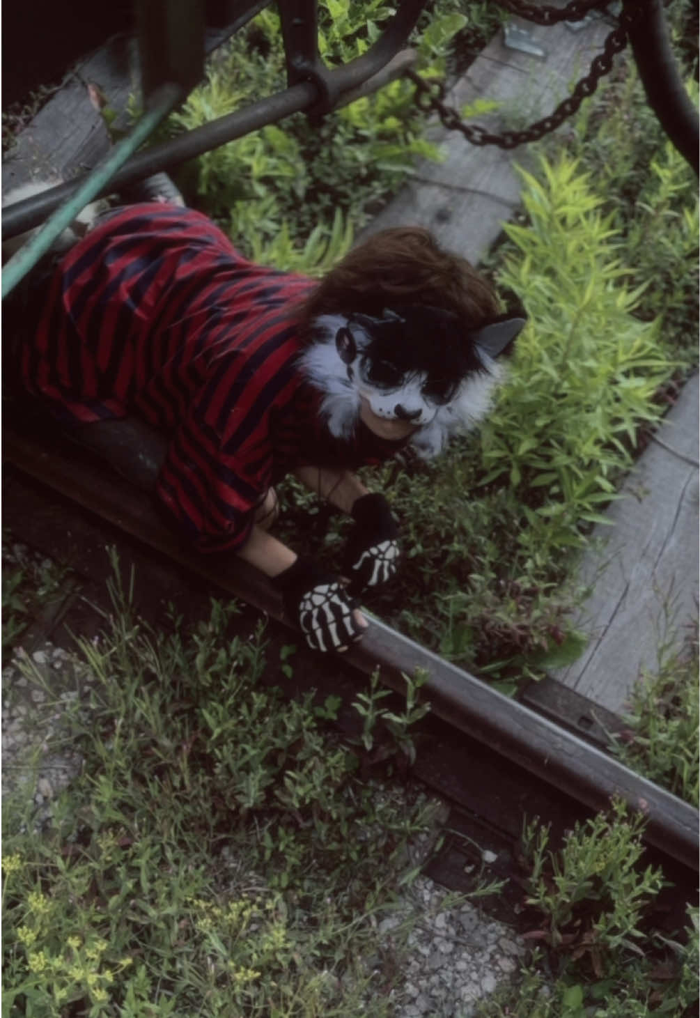 @⚔️.ೃ࿔ ݁𝚆𝚒𝚗𝚎 ݁ 𐂴 ݁🐾