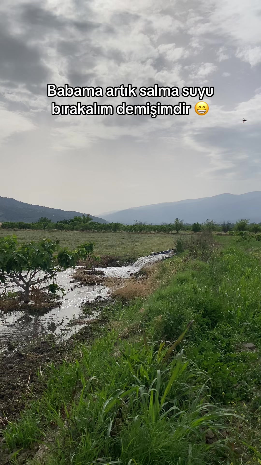 @Naim bayar