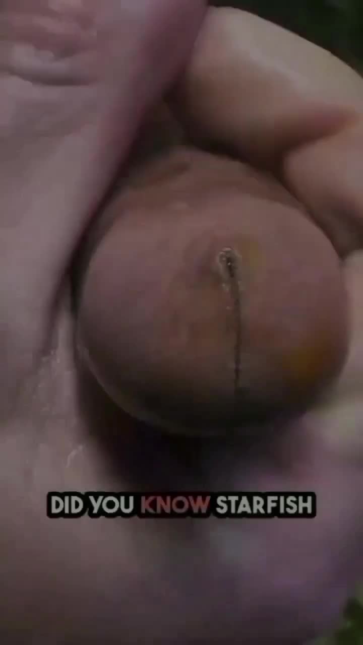 @awangawang53