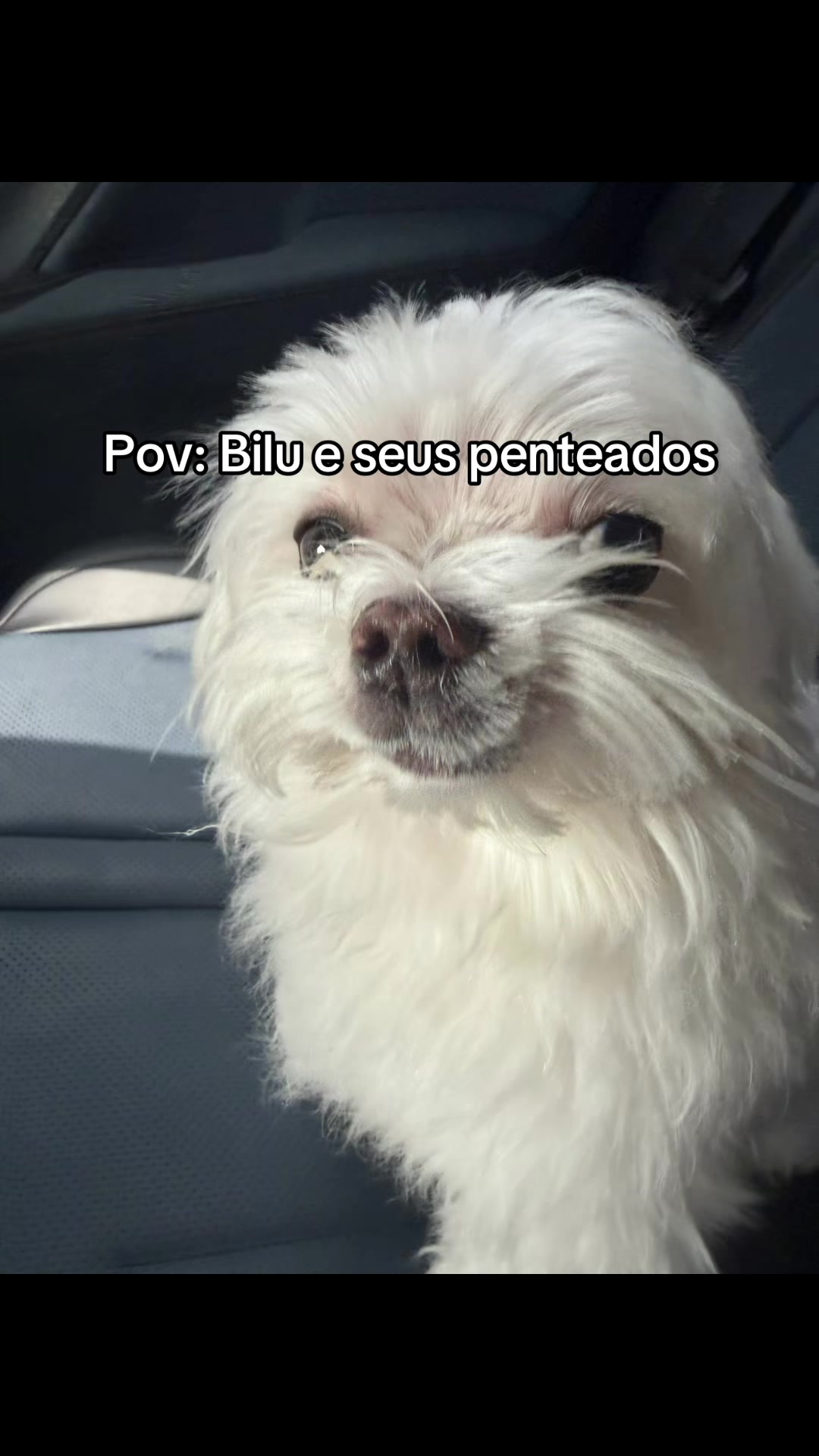 @Biluzinho