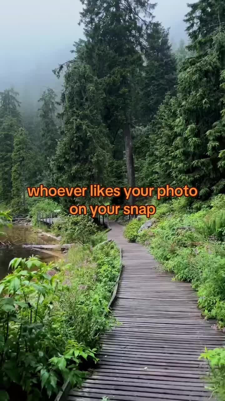 @Haley