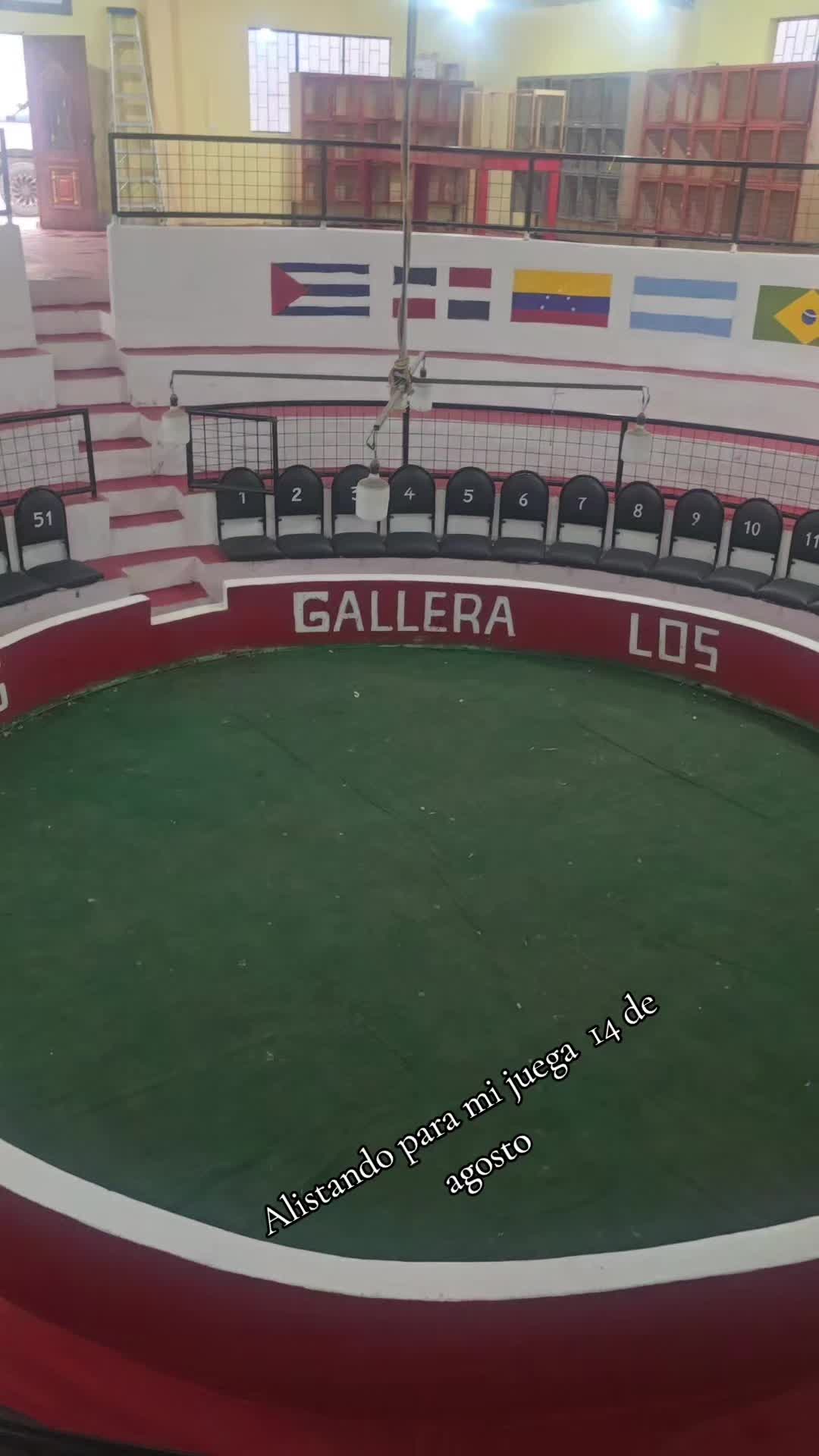 @🐓TU GALLO FINO 🐓