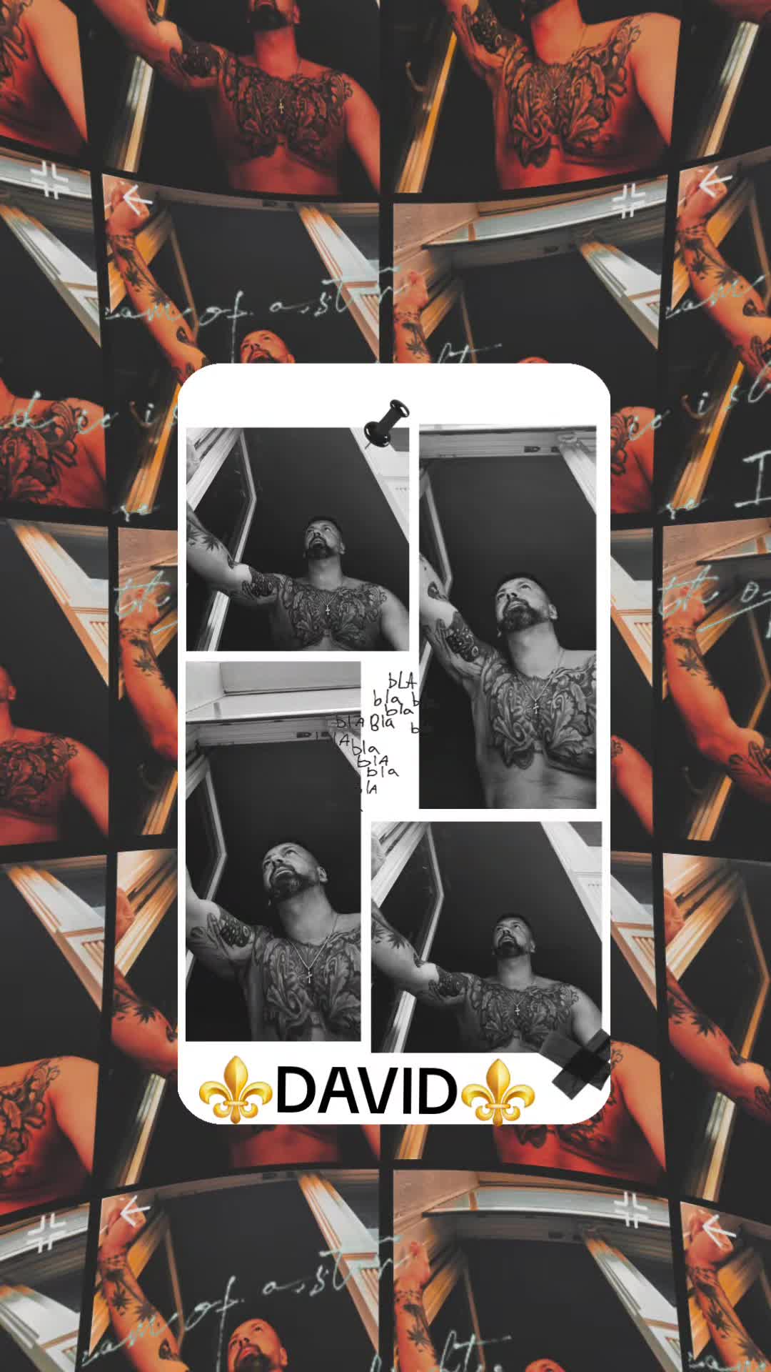 @⚜️David⚜️