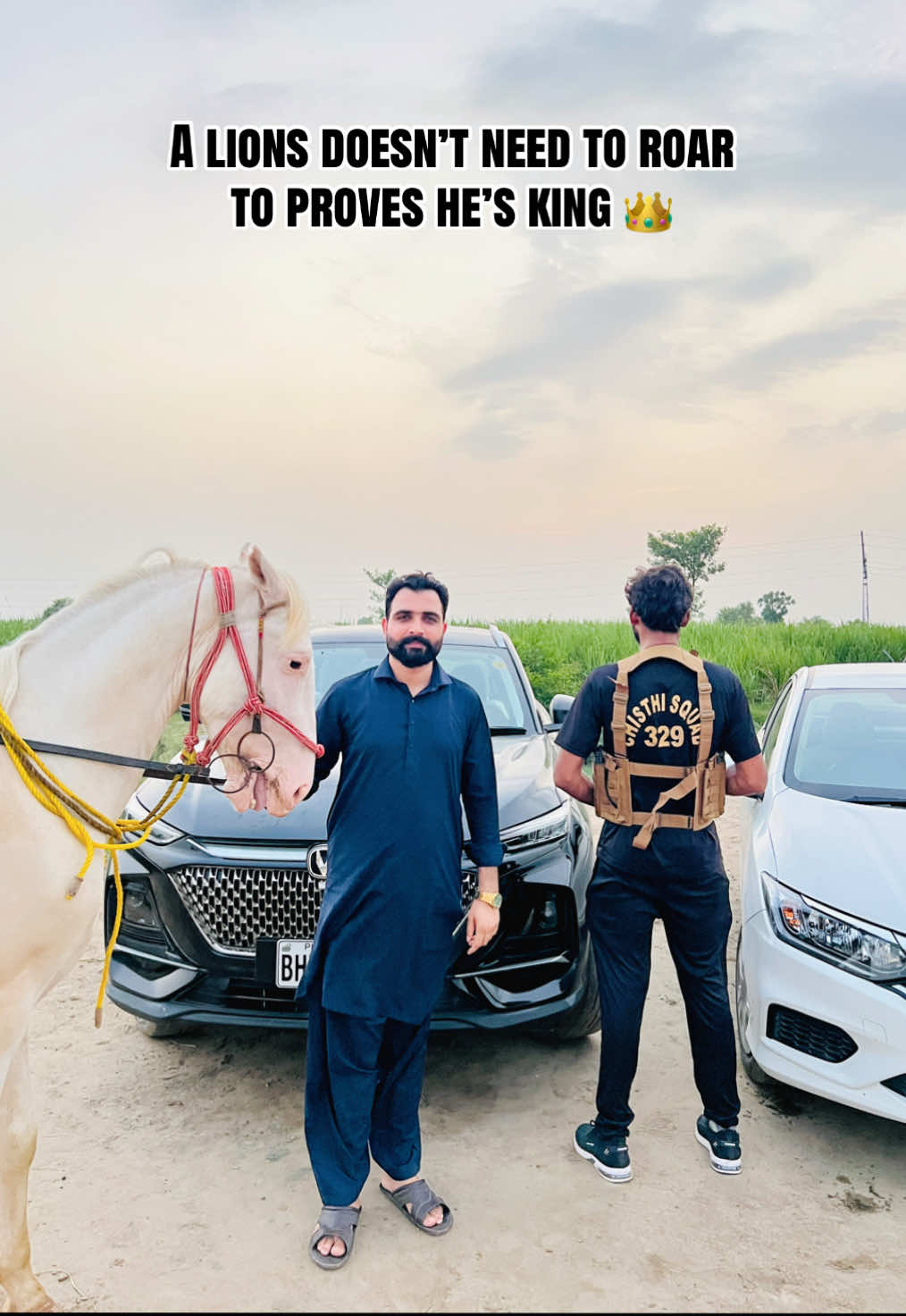 @Taimoor Shah