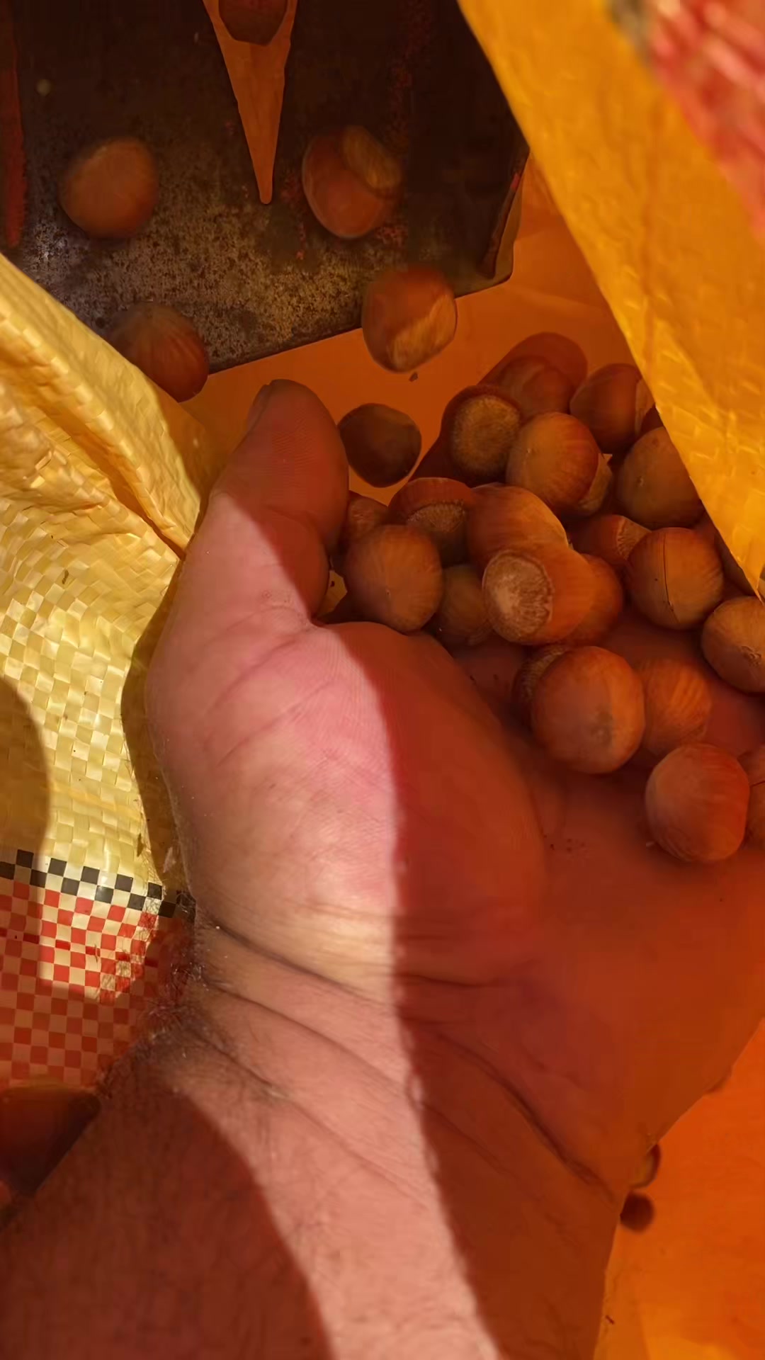 @TC _Aslan _Özcan