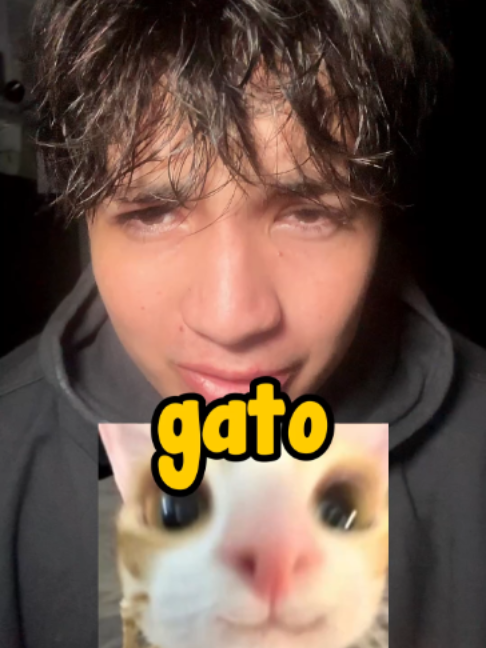 @TRASHITOmp4