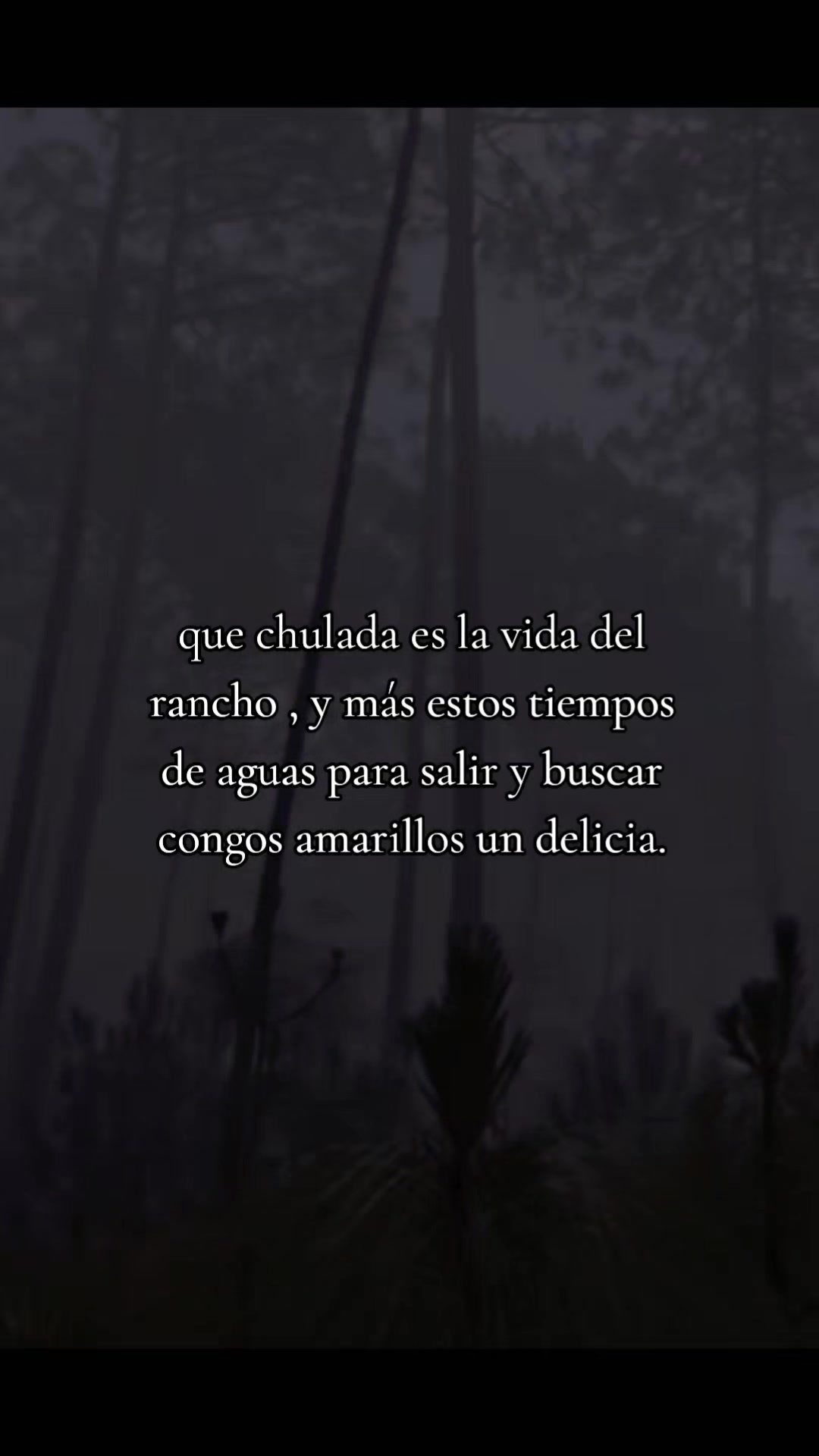 @Jose Miguel