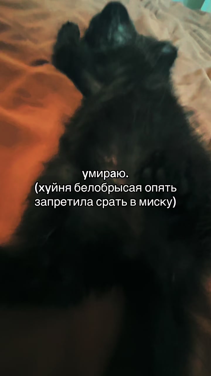 @m.o.ll.y