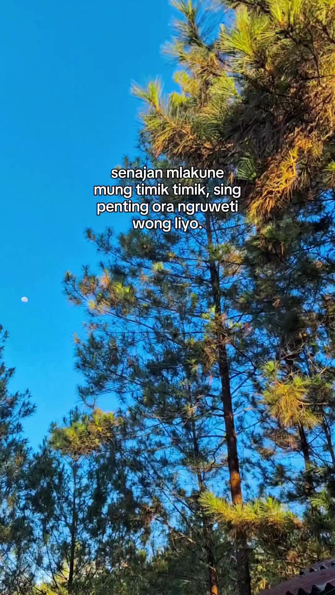 @¥M$