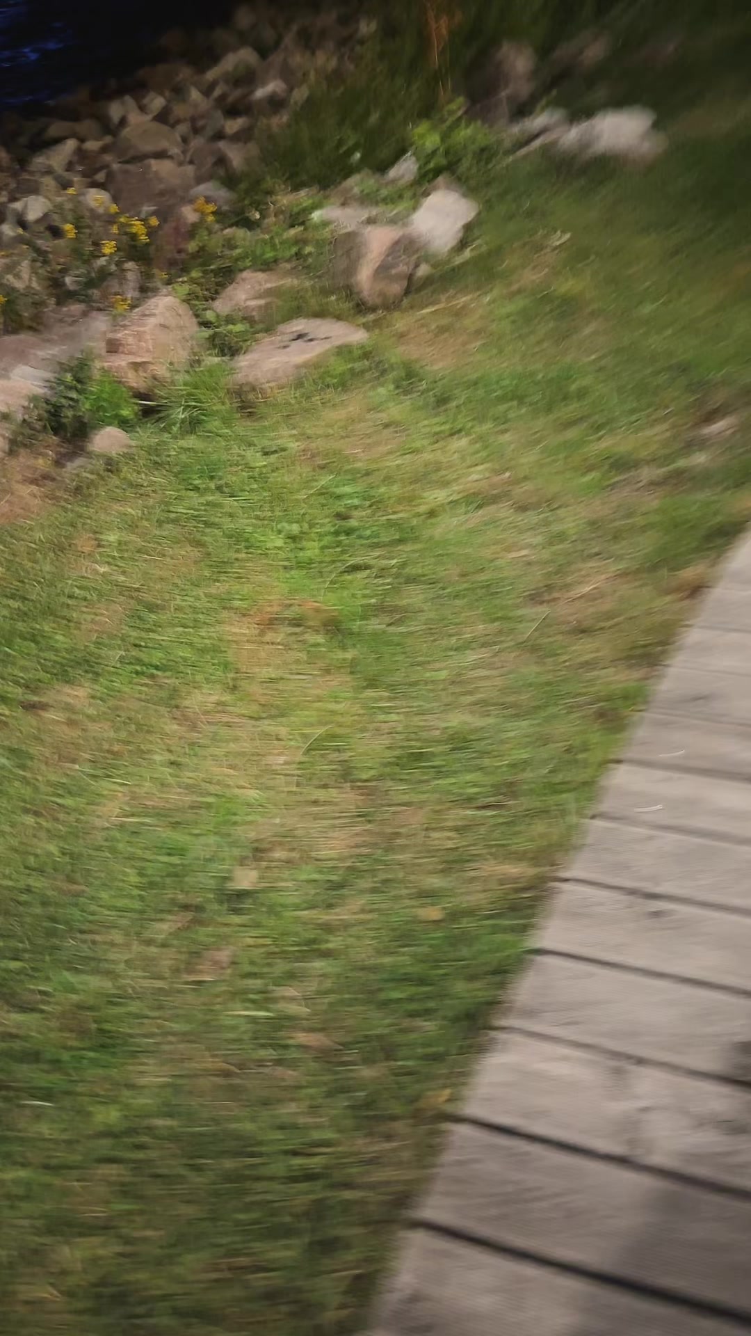 @🦋🤍