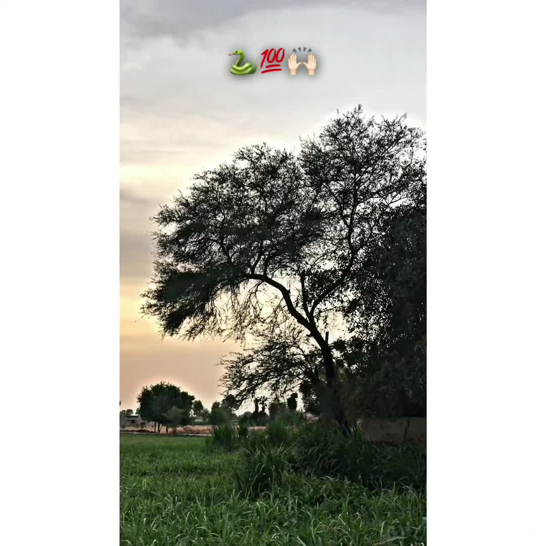 @• Choudحry•
