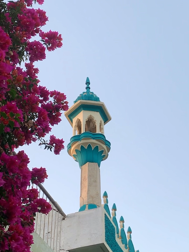 @Haji Rasool Gul Afridi Kalay👑