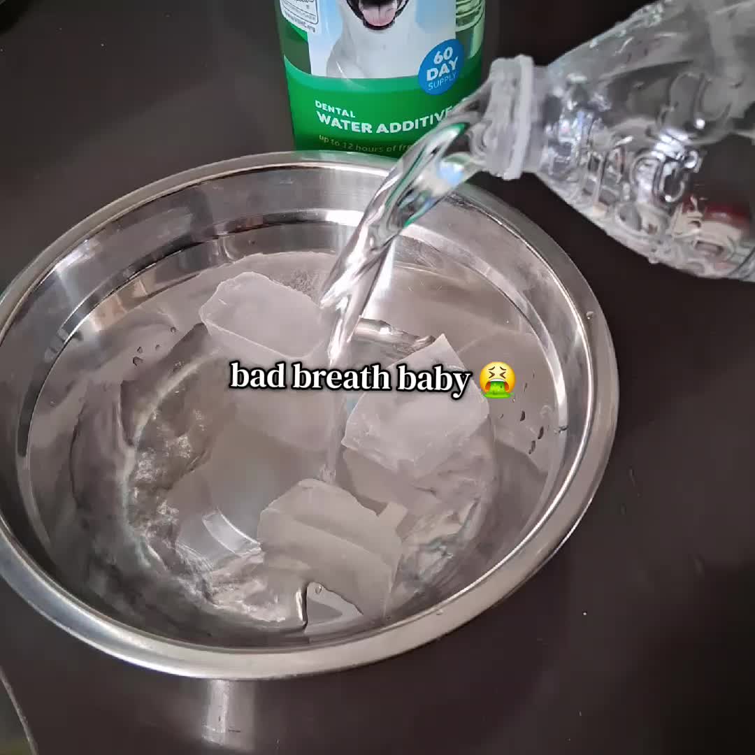 @Taniki