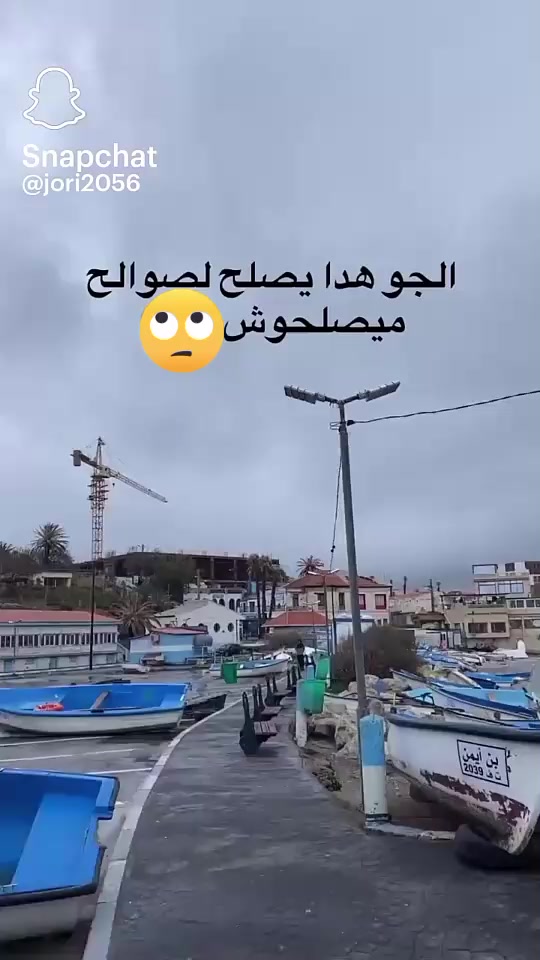 @Qarim 🇩🇿
