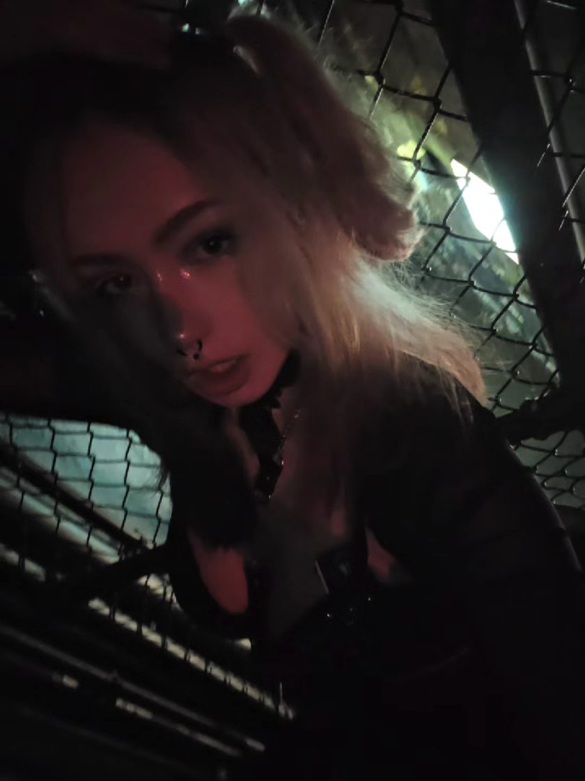 @🦇