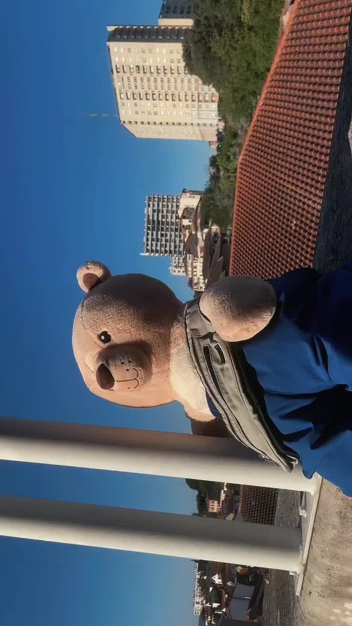 @Les aventures de Teddy