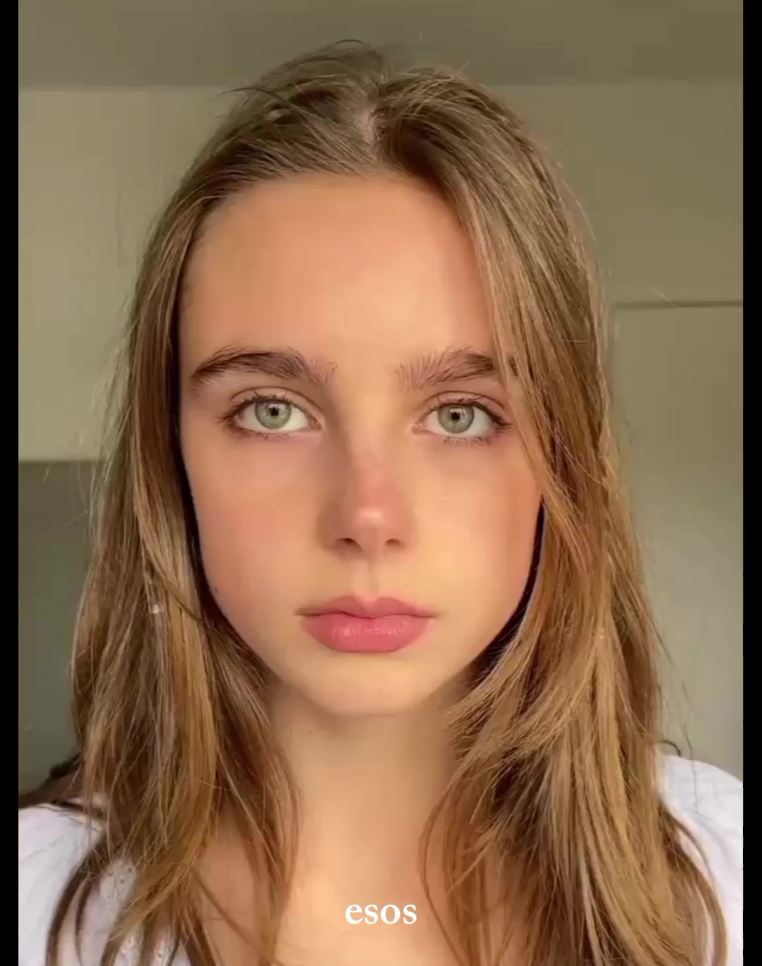 @fizzy fan 💗