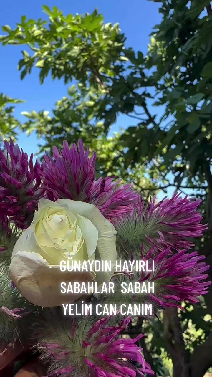 @Hasan Yılmaz