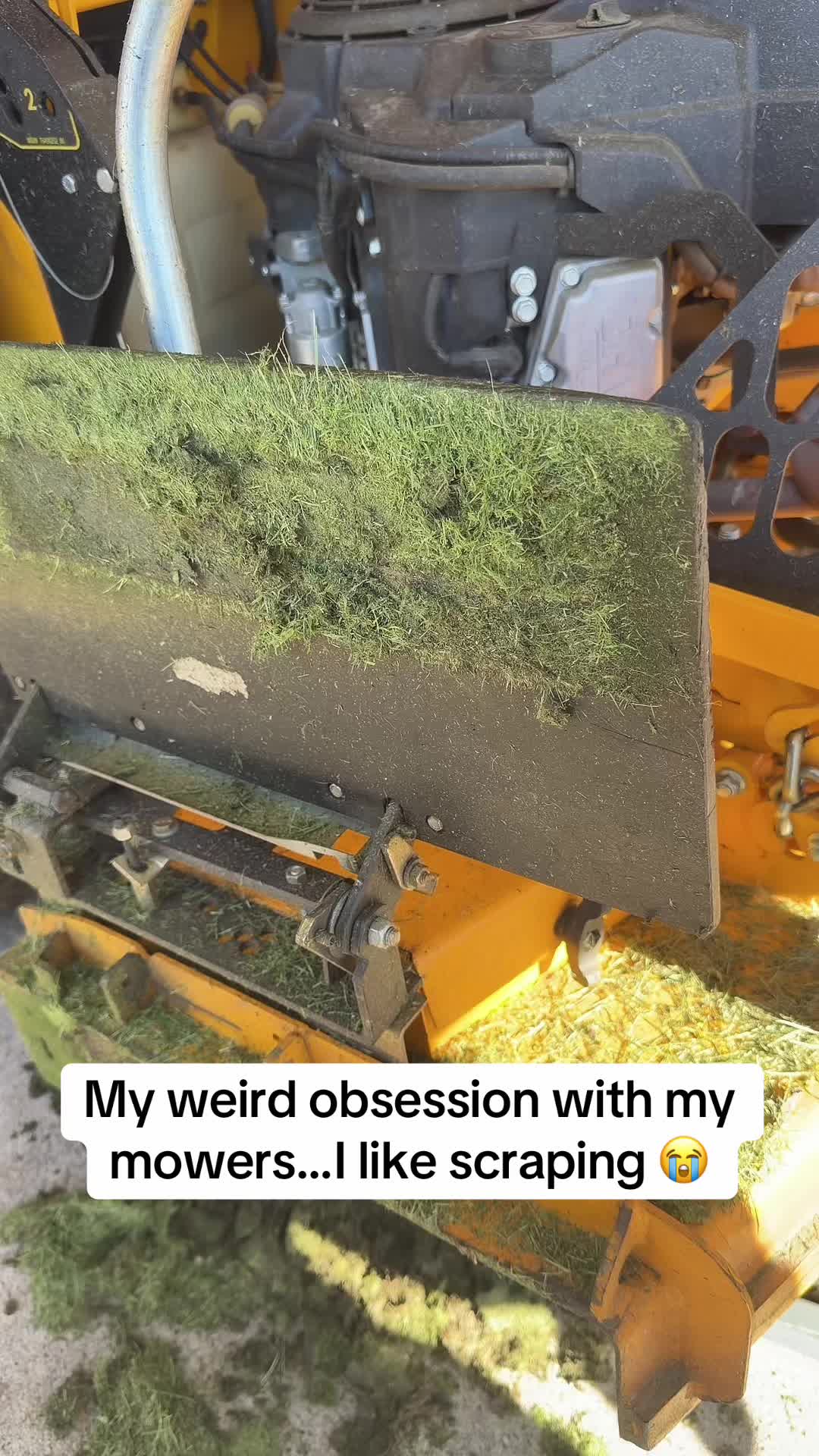 @🇸🇾🇮🇹Tiny 🇸🇾🇮🇹