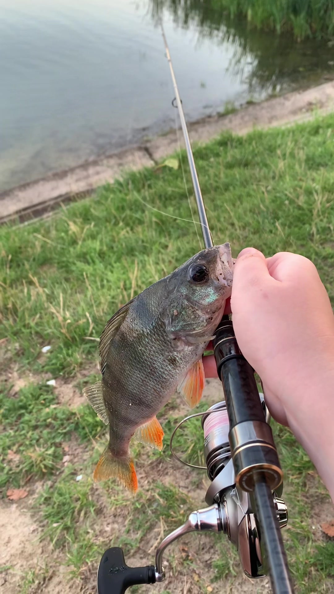 @High Fishing